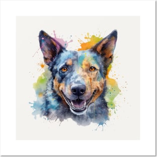 Australian Cattle Dog Posters and Art